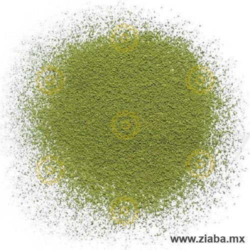 Té Verde Izu Matcha - Ziaba - Ziaba Gourmet