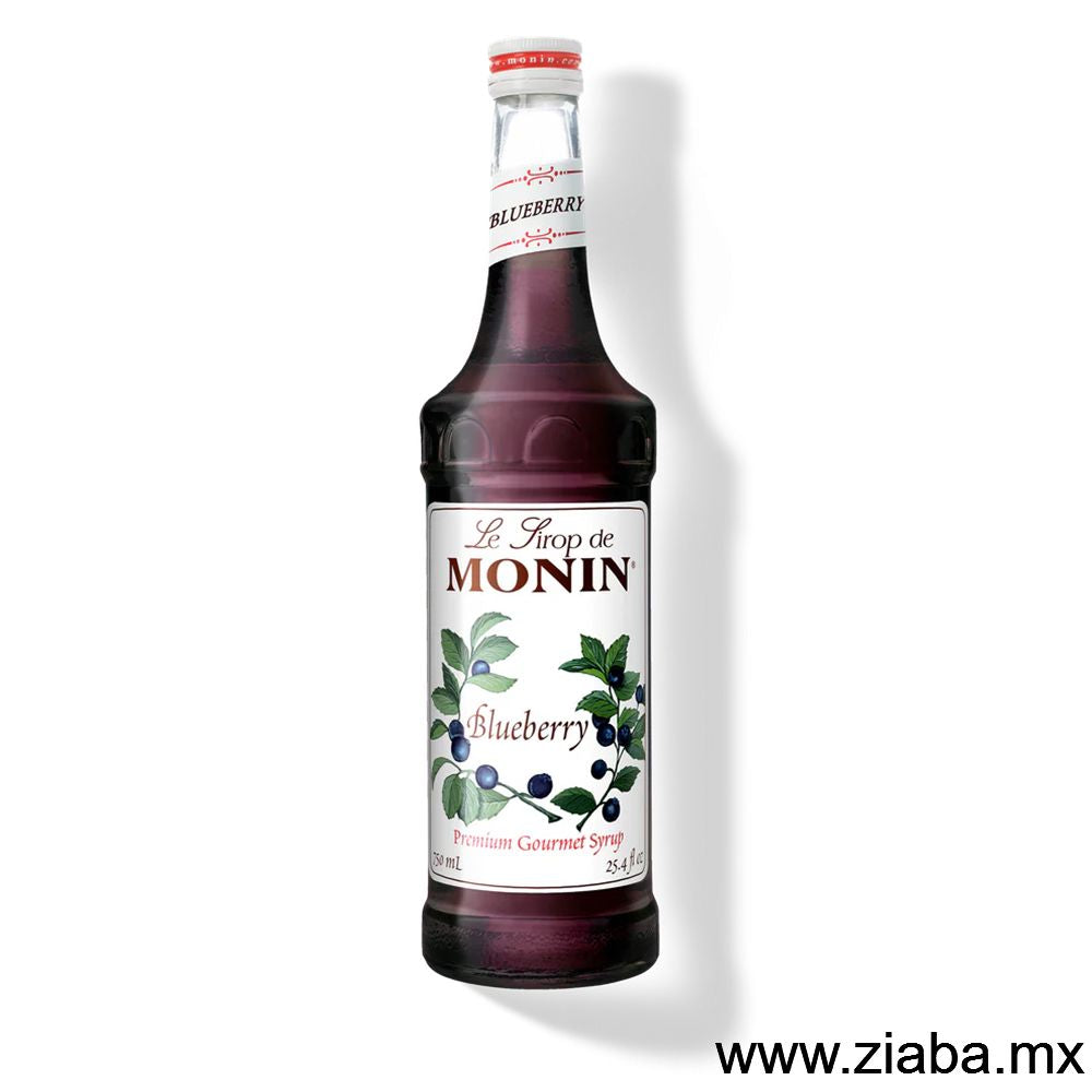 Mora Azul (Blueberry) - Jarabe Saborizante Monin