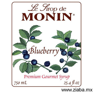 Mora Azul (Blueberry) - Jarabe Saborizante Monin