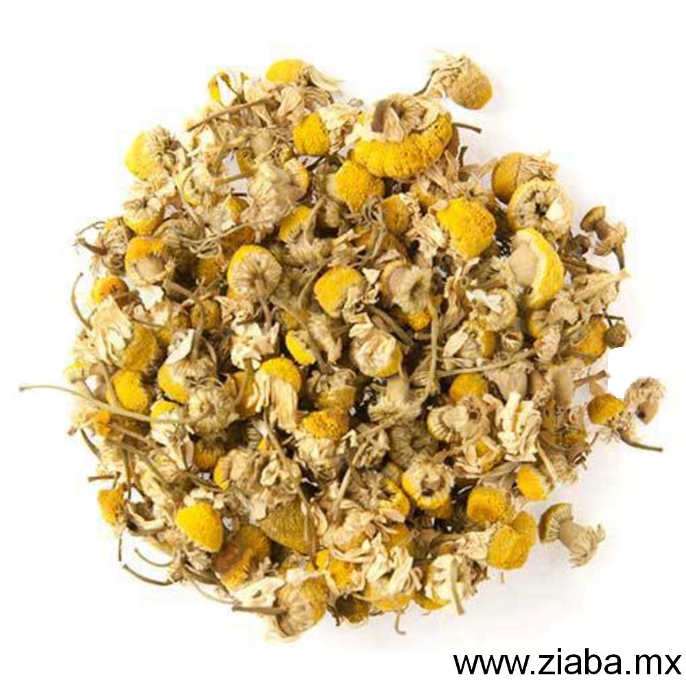 Manzanilla Egipcia - Ziaba