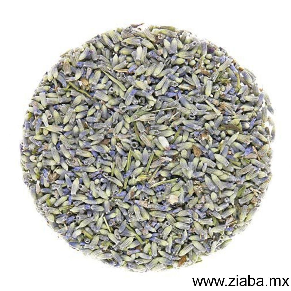 Pétalos de Lavanda - Ziaba