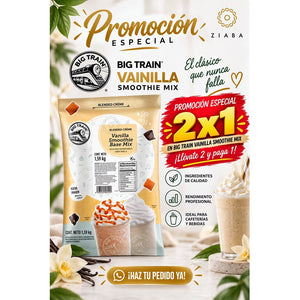 Vainilla Smoothie Mix - Big Train
