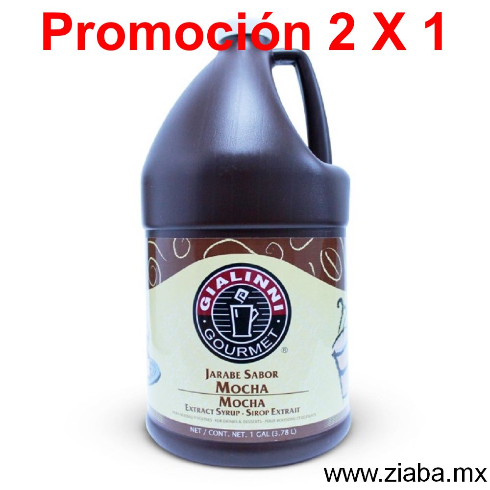 Mocha - Jarabe Extracto Gialinni
