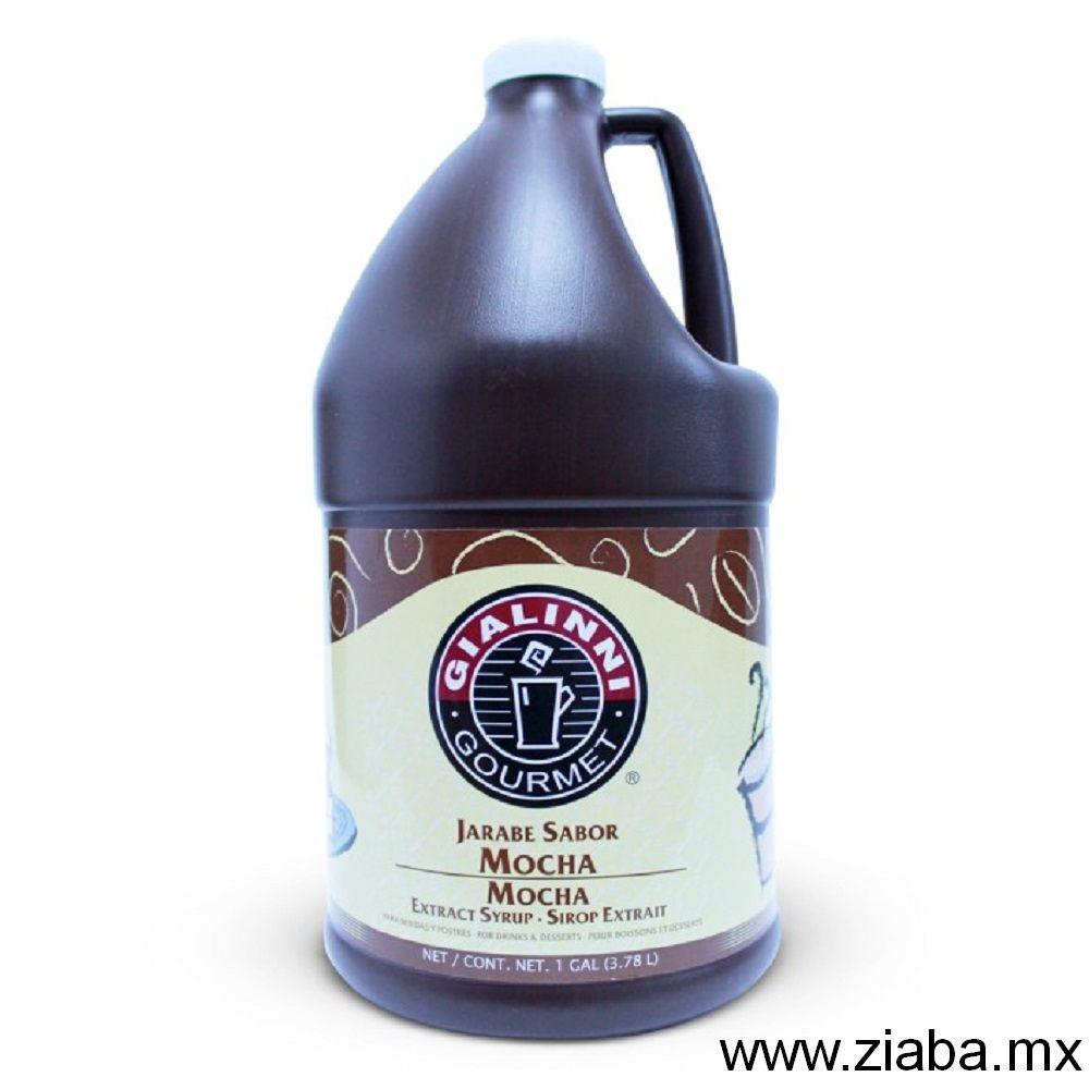 Mocha - Jarabe Extracto Gialinni