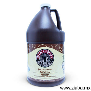 Mocha - Jarabe Extracto Gialinni