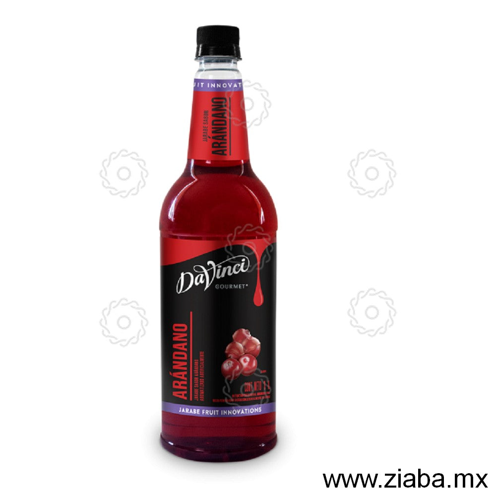 Arándano - Jarabe frutal Fruit Innovation DaVinci