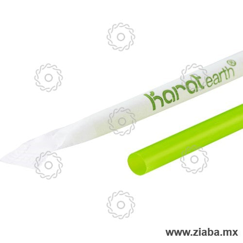 Popote Biodegradable de PLA Estuchado, Verde, 23cm x 7mm - Karat Earth