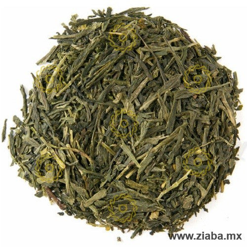 Té Verde Sencha - Ziaba - Ziaba Gourmet